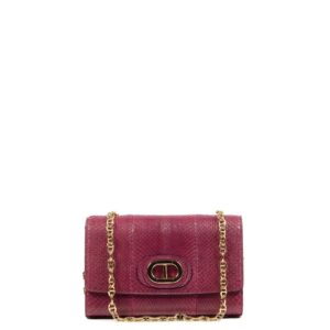 Firenze Python Clutch